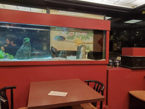 Abacus Chinese Restaurant - Lansdale