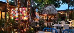 Amazonica - Miami