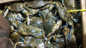 Angel's Seafood - Baltimore