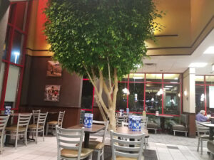 Arby's - Muncie
