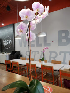 BIBIBOP Asian Grill - Grove City