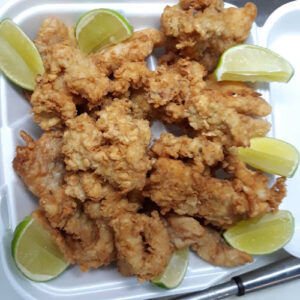 Bahama Conch Man - West Palm Beach