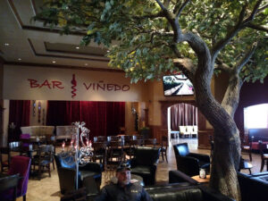 Bar Viñedo - Queen Creek