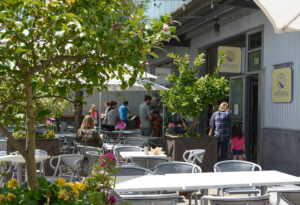 Barrio Cocina Mexicana - Sebastopol
