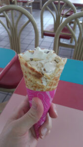 Baskin-Robbins - Savannah