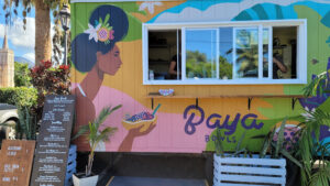 Baya Bowls - Lahaina