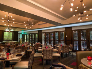 Birch & Vine - St. Petersburg