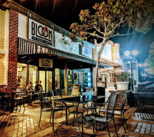 Bloom Ice Cream + Coffee - Lake Elsinore