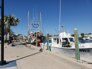Blue Bayou Inn - Tarpon Springs