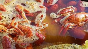 Boulet's Boil-N-Go - Sulphur