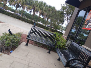 Burger King - Naples