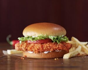 Burger King - New Port Richey