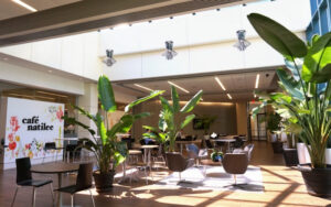 Cafe Natilee - Falls Church
