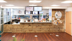 CappuGino's Coffee and Shakes - Milford