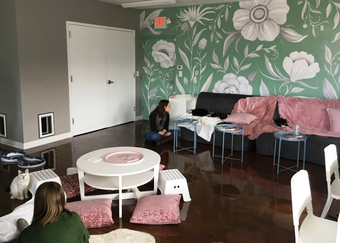 Gallery image