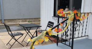 Chyann's Specialty Cafe - Harlingen