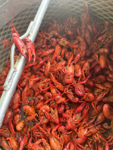 Circle 7 Seafood & Daiquiri Hut - Lake Charles