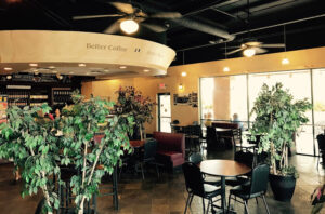 Coffee Rush - Gilbert
