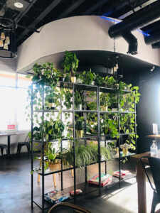 DX-LAB - San Gabriel