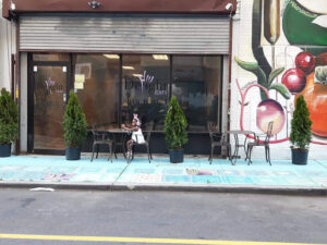 Deaf's Delight Cafe - Newark