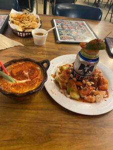 Delicious Birria - Houston