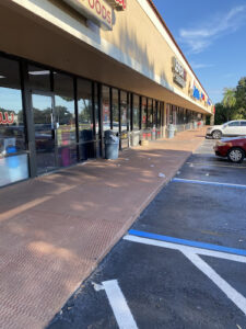 Domino's Pizza - Palm Harbor