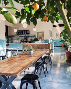 Druthers Coffee - Stony Brook