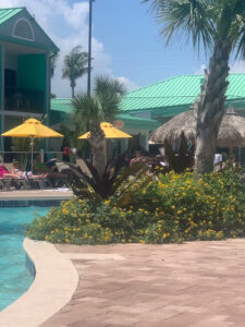 Duck Dive - Cocoa Beach