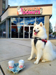 Dunkin' - Wilkes-Barre