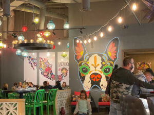 El Diablo Taqueria & Cantina - Foley