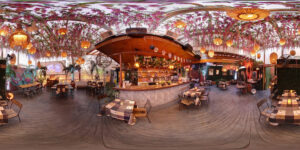 El Techo - Washington