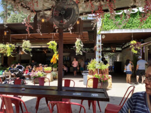 Elsewhere Garden Bar & Kitchen - San Antonio