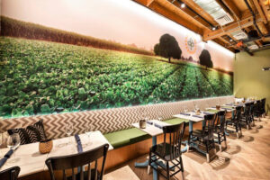 Farm and Craft Scottsdale - Scottsdale