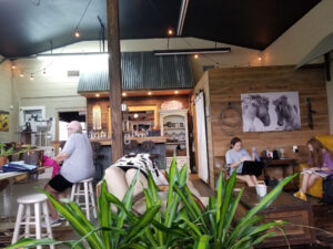 Giddy-Up Coffee House - Washington