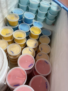 Grand’s Philly Phreeze - Phenix City