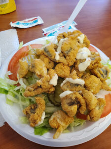 Hungry Sharks - Jacksonville