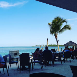 Islamorada Shrimp Shack - Islamorada