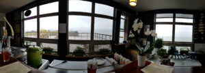 Kachemak Shellfish Growers - Homer