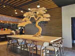 Kiwami Ramen - Tucson