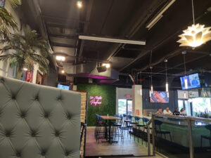 Latin Grill Tampa - Tampa