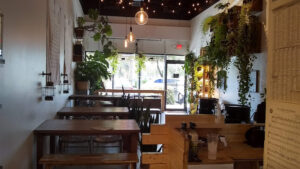 Leafy - Pembroke Pines