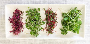 Life Field Gardens Delivery - Cuyahoga Falls