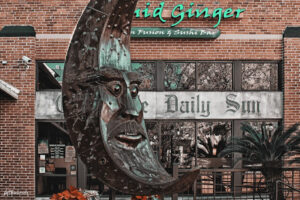 Liquid Ginger - Gainesville