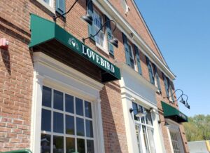 Lovebird - Bryn Mawr