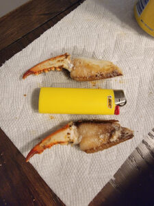 MAKAN Crabs - Hanover