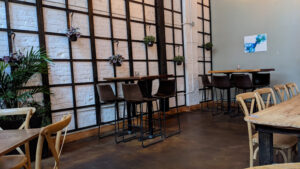 MOFU Dumpling Shoppe - Raleigh