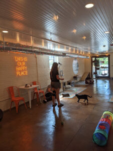 Mac Tabby Cat Cafe - Concord - Concord