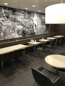 McDonald's - Hialeah