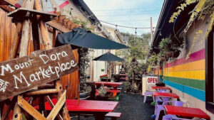 Melo - Colombian Stuffed Arepas & More - Mt Dora