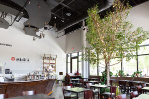 MidiCi The Neapolitan Pizza - Gainesville - Gainesville